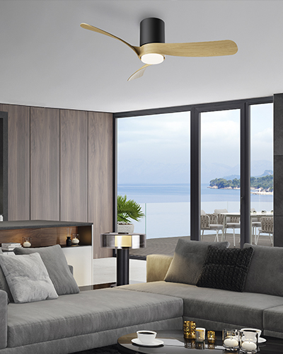 NEMO